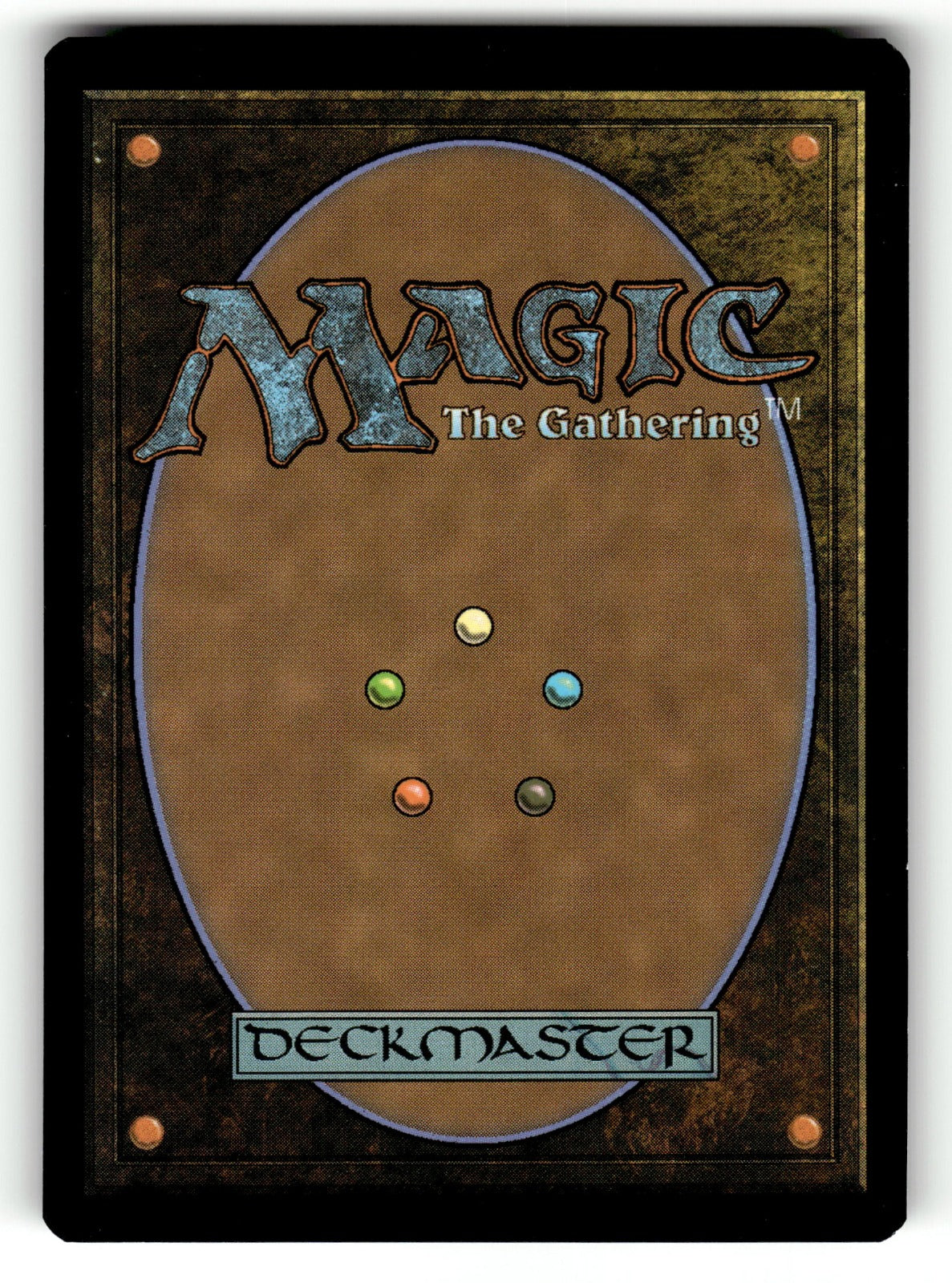 Forest (0266) (Borderless) β 266 EOE: Edge of Eternities L Foil NM (Back)