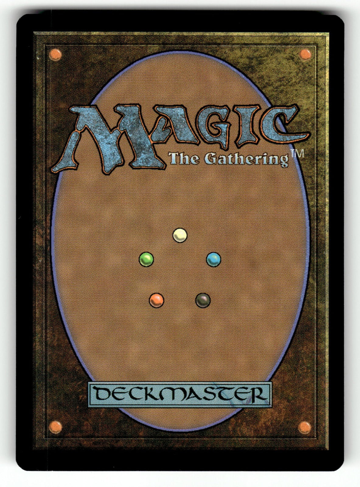 Frog-Squirrels β 251 TLE: Avatar: The Last Airbender: Eternal-Legal C NM (Back)