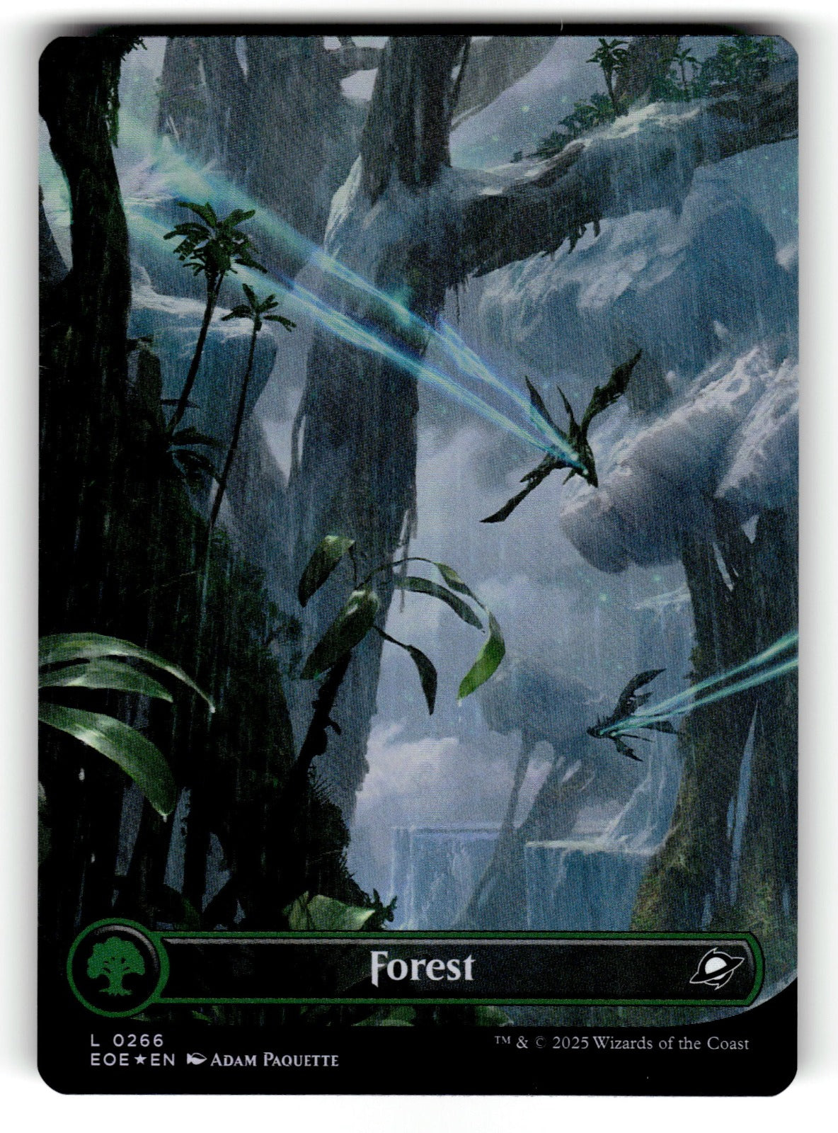 Forest (0266) (Borderless) – 266 EOE: Edge of Eternities L Foil NM