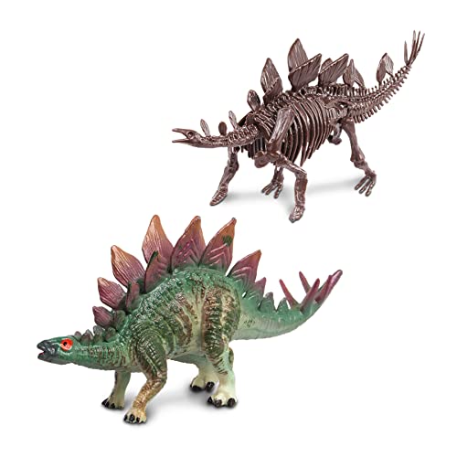 WowWorld: Dino Dig - Stegosaurus - All-in-One Dinosaur Skeleton Excavation Kit Tools & Construction Figurine Educational Science Toy Kids Ages 6+