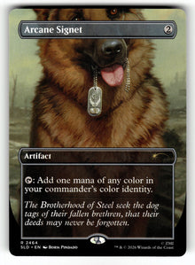 Arcane Signet – 2464 SLD: Secret Lair Drop Series R NM