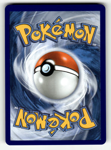 Mega Skarmory ex – 055/088 POR: ME03: Perfect Order Double Rare Holo NM (Back)