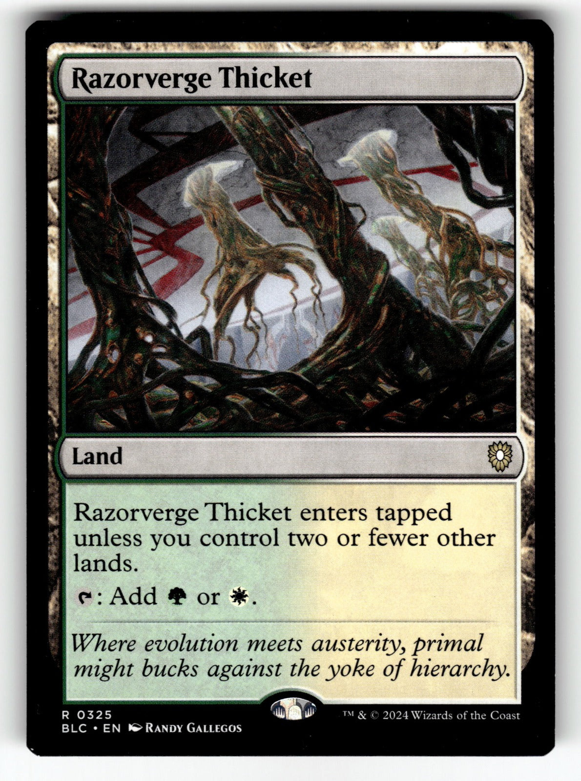 Razorverge Thicket – 325 BLC: Commander: Bloomburrow R NM