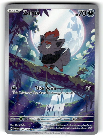 Zorua – 142/086 WHT: SV: White Flare Illustration Rare Holo NM