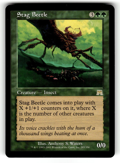 Stag Beetle – 285 ONS: Onslaught R LP