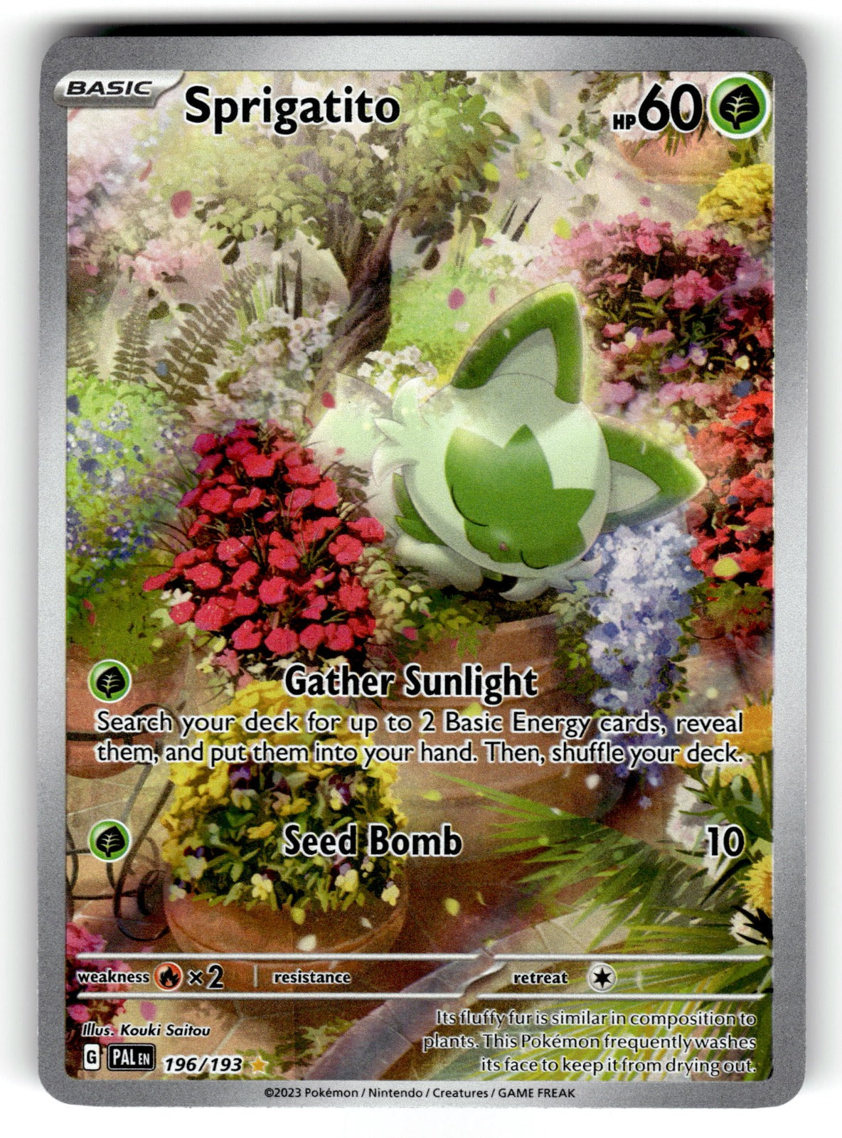 Sprigatito – 196/193 PAL: SV02: Paldea Evolved Illustration Rare HoloNM