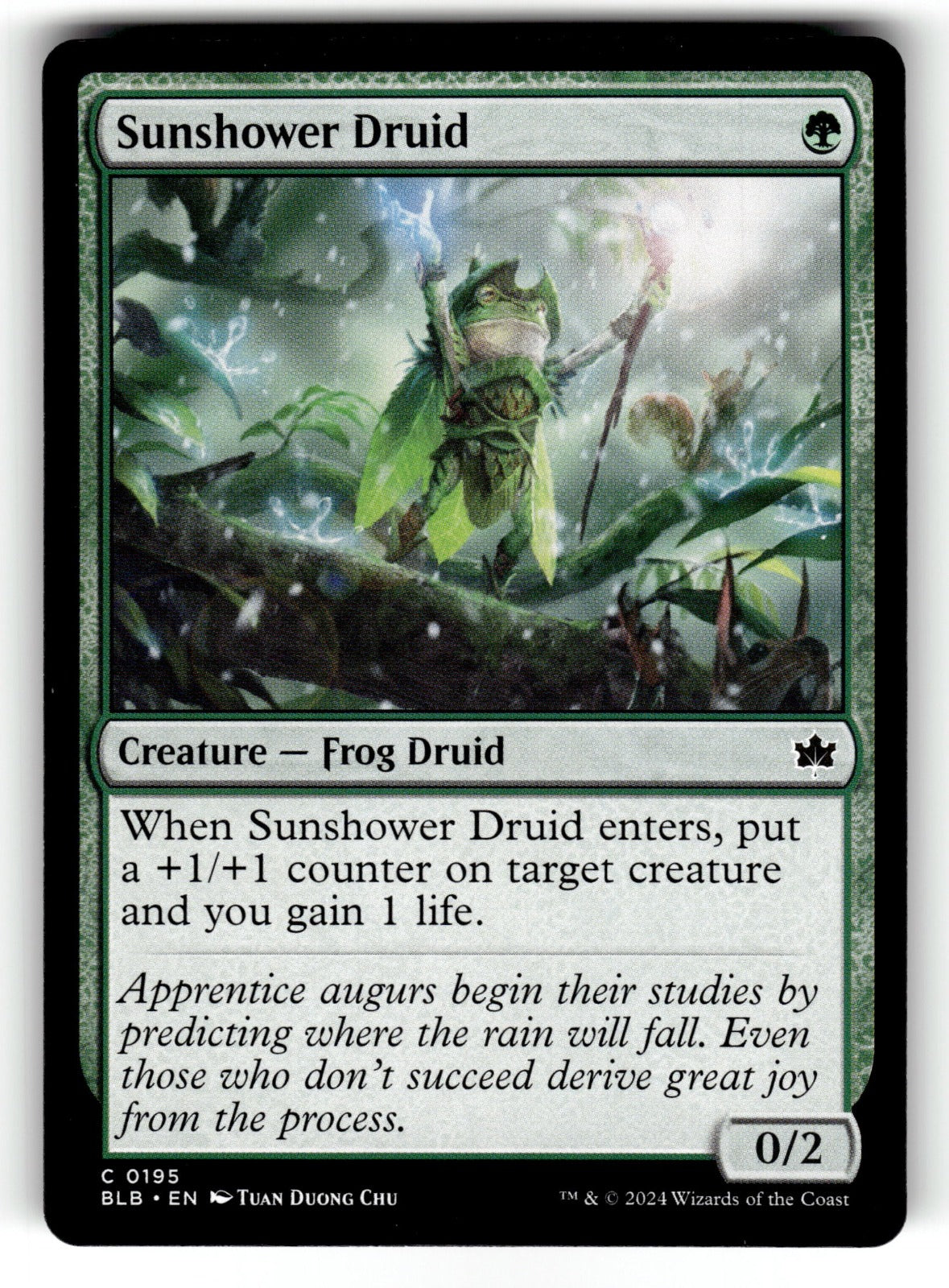 Sunshower Druid – 195 BLB: Bloomburrow C NM