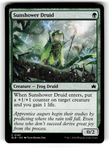 Sunshower Druid – 195 BLB: Bloomburrow C NM