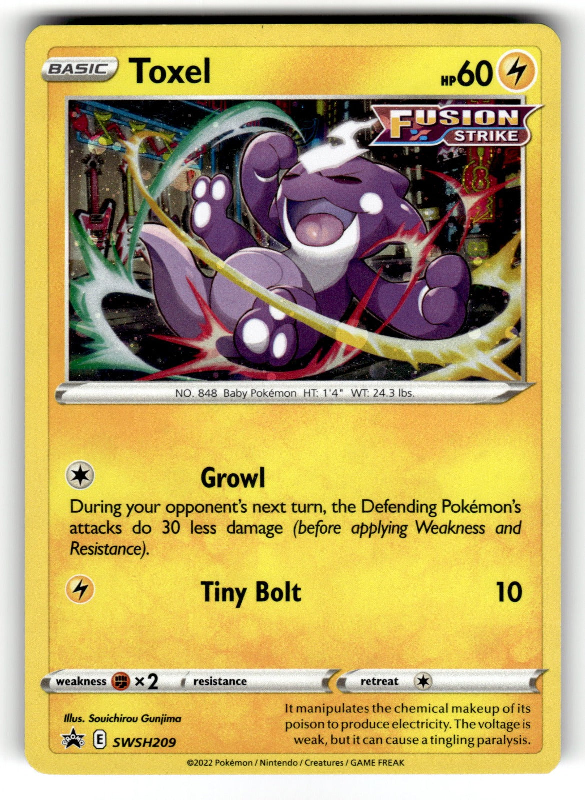 Toxel – SWSH209 SWSD: SWSH: Sword & Shield Promo Cards Promo Holo NM