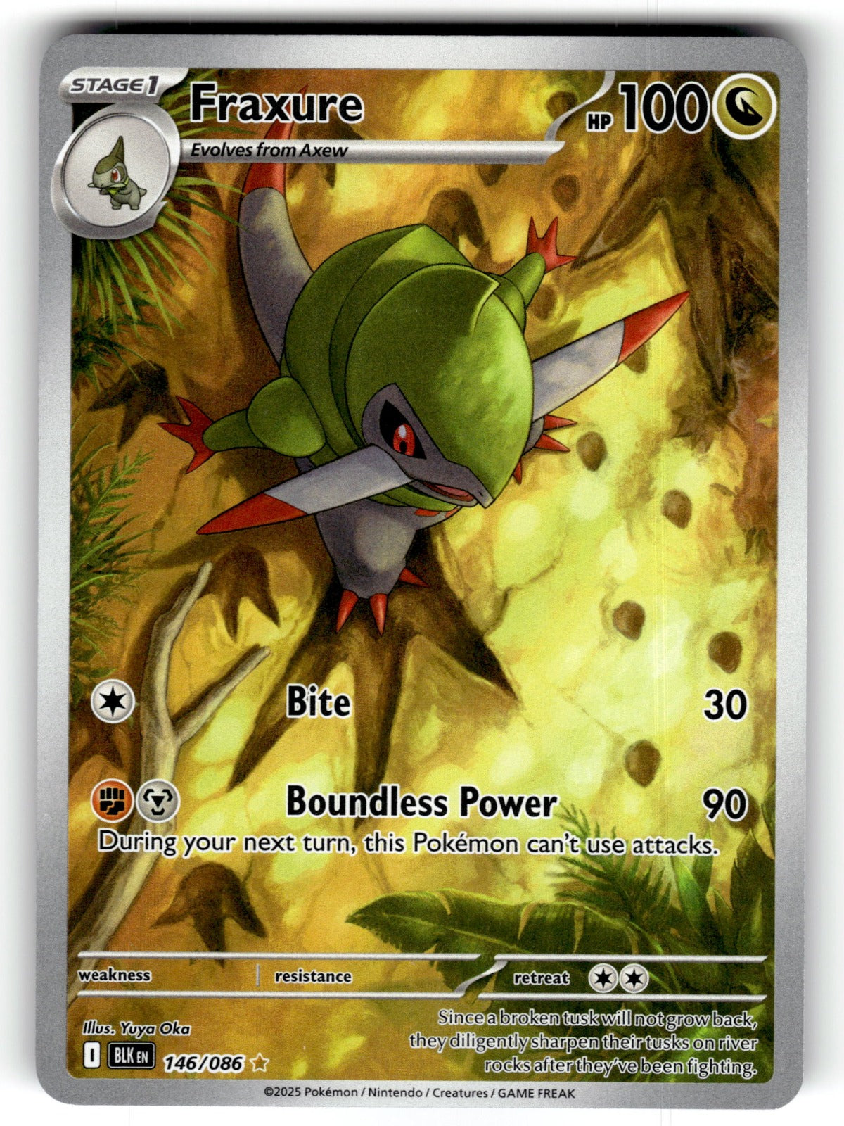 Fraxure – 146/086 BLK: SV: Black Bolt Illustration Rare Holo NM