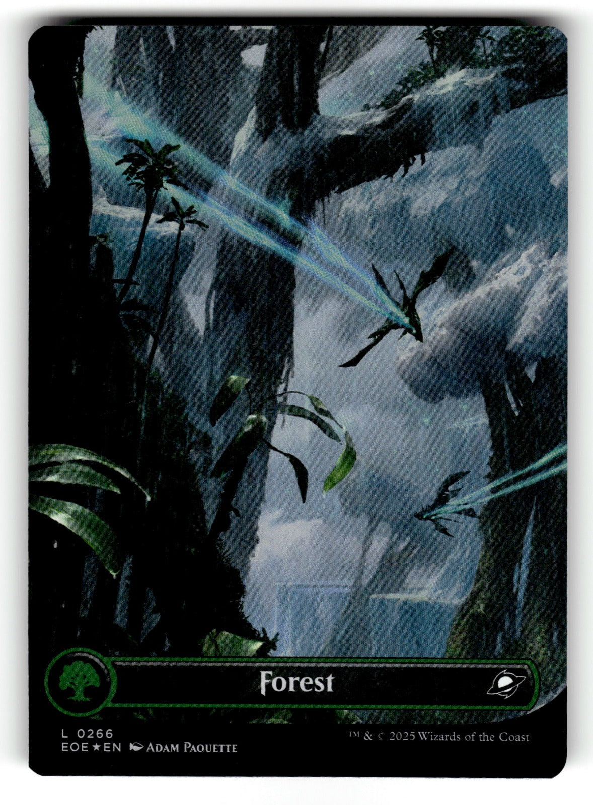 Forest (0266) (Borderless) – 266 EOE: Edge of Eternities L Foil NM