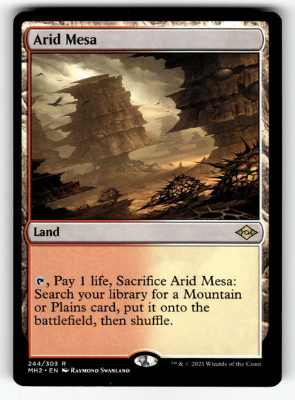 Arid Mesa – 244 MH2: Modern Horizons 2 R LP
