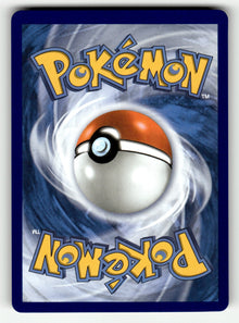 Pikachu ex – 247/191 SSP: SV08: Surging Sparks Hyper Rare Holo NM (Back)