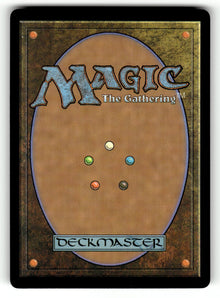 Bloodstained Mire – 216 MH3: Modern Horizons 3 R NM (Back)