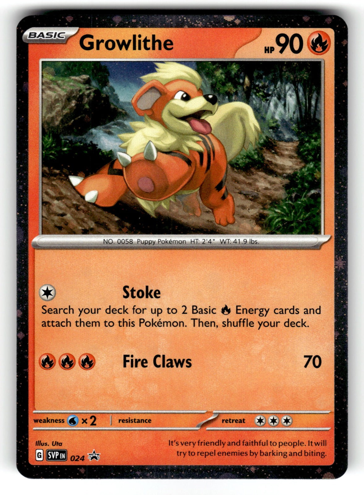 Growlithe - – 024 SVP: SV: Scarlet & Violet Promo Cards Promo Holo NM