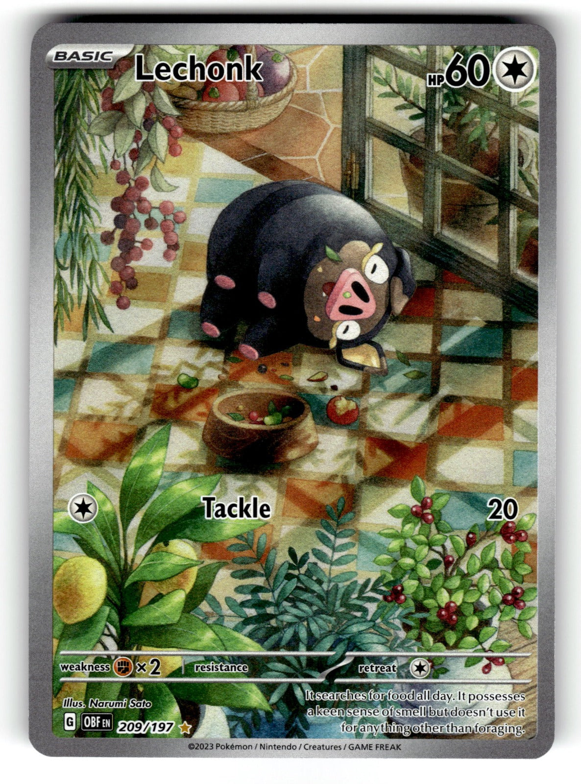 Lechonk - 209/197 OBF: SV03: Obsidian Flames Illustration Rare Holo NM