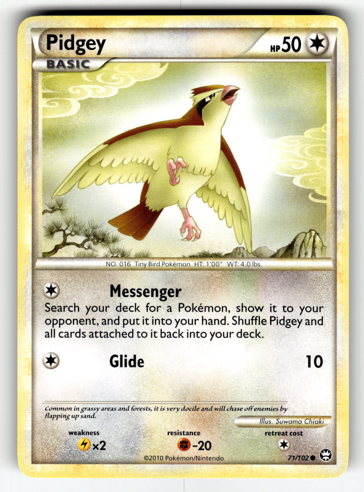 Pidgey – 71/102 TM: Triumphant Common NM