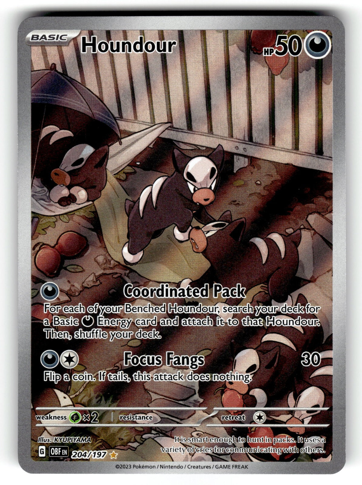Houndour - 204/197 OBF: SV03: Obsidian Flames Illustration Rare Holo NM