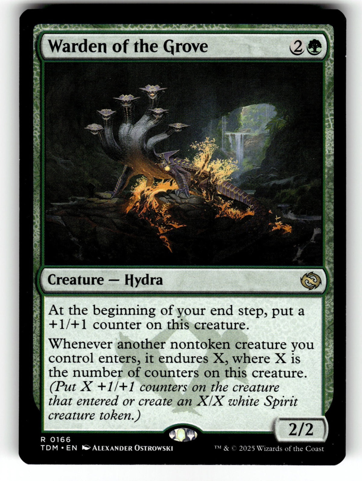 Warden of the Grove – 166 TDM: Tarkir: Dragonstorm R NM