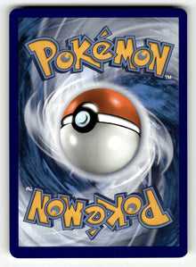 Drampa – 119/203 SWSH07: SWSH07: Evolving Skies Rare NM (Back)