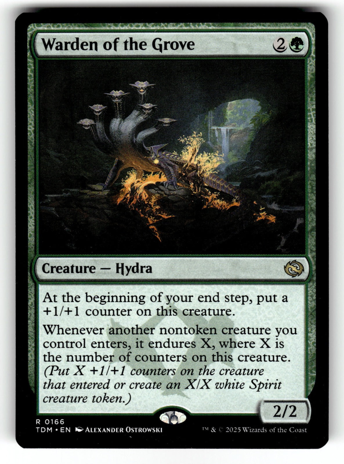 Warden of the Grove – 166 TDM: Tarkir: Dragonstorm R NM