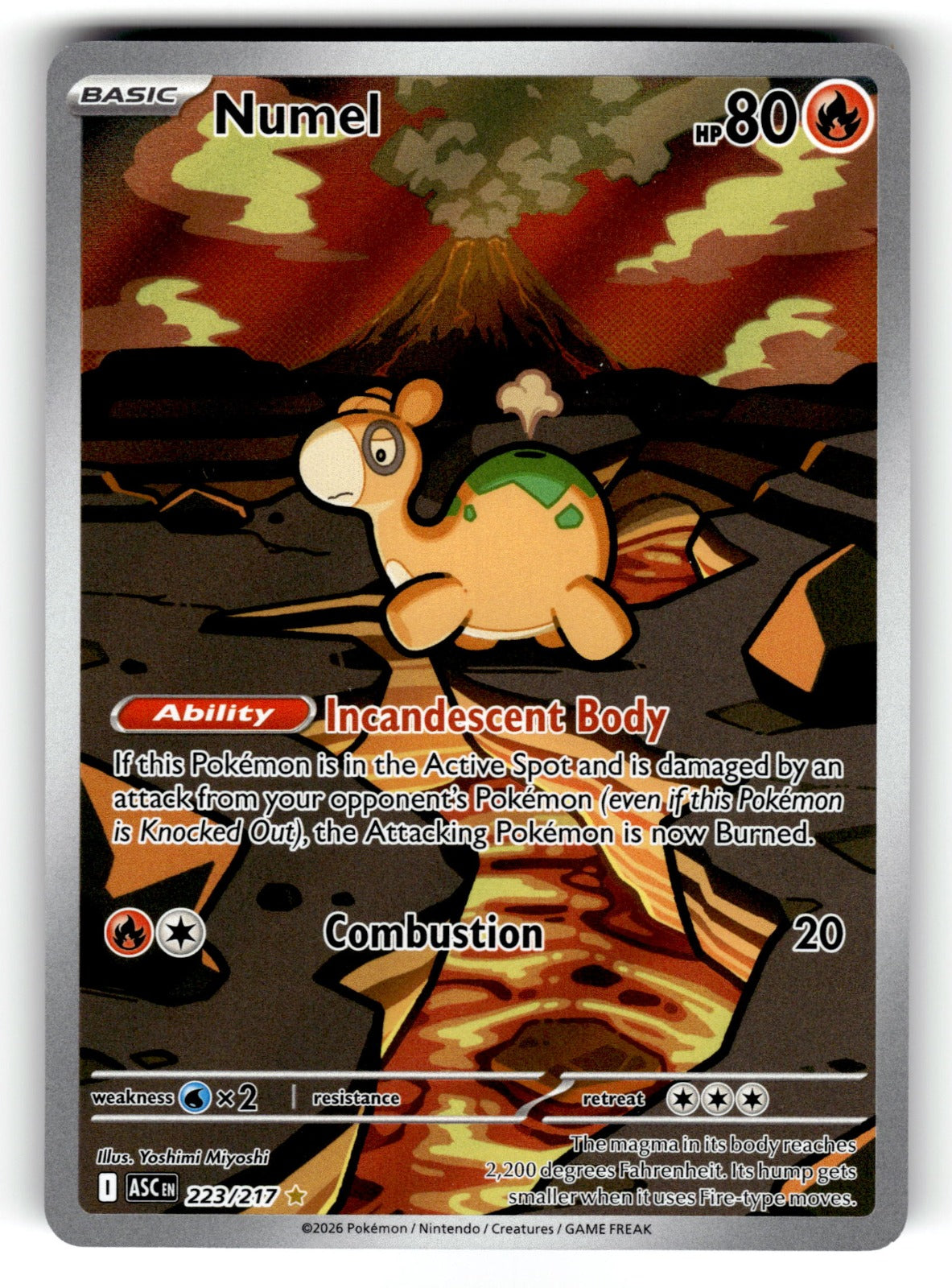 Numel – 223/217 ASC: ME: Ascended Heroes Illustration Rare Holo NM