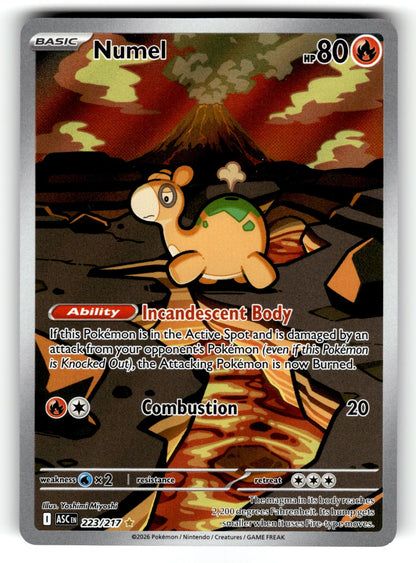 Numel – 223/217 ASC: ME: Ascended Heroes Illustration Rare Holo NM
