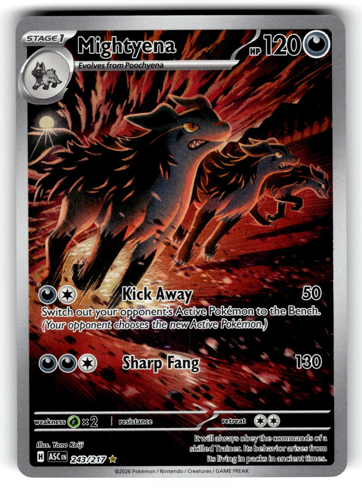 Mightyena – 243/217 ASC: ME: Ascended Heroes Illustration Rare HoloNM