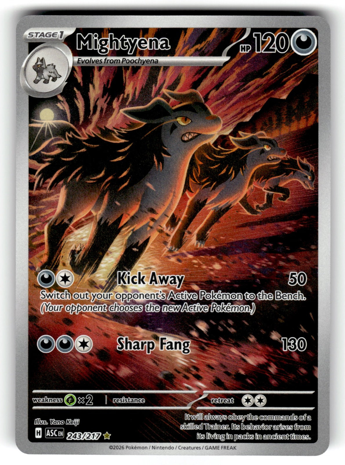 Mightyena – 243/217 ASC: ME: Ascended Heroes Illustration Rare Holo NM