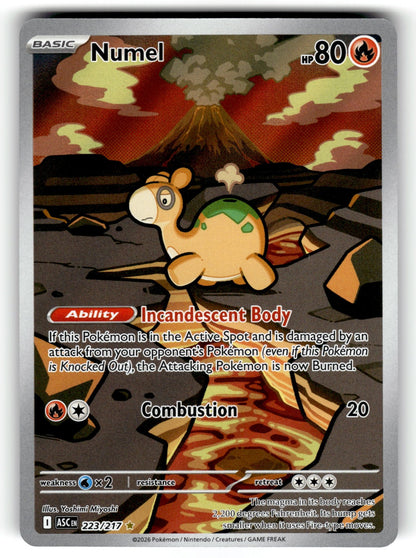 Numel – 223/217 ASC: ME: Ascended Heroes Illustration Rare Holo NM