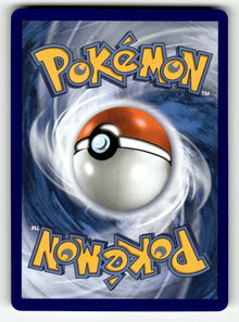 Shuckle – 136/132 MEG: ME01: Mega Evolution Illustration Rare Holo NM (Back)