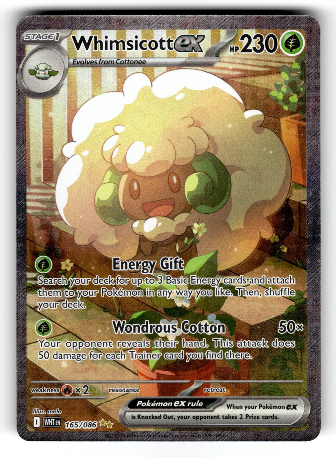 Whimsicott ex – 165/086 WHT: SV: White Flare Special Illustration Rare HoloNM