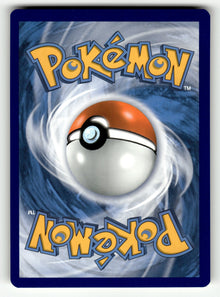 Sharpedo – 12/73 CHP: Champion's Path Uncommon Reverse Holo NM (Back)