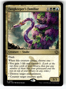Fangkeeper's Familiar – 183 TDM: Tarkir: Dragonstorm R NM