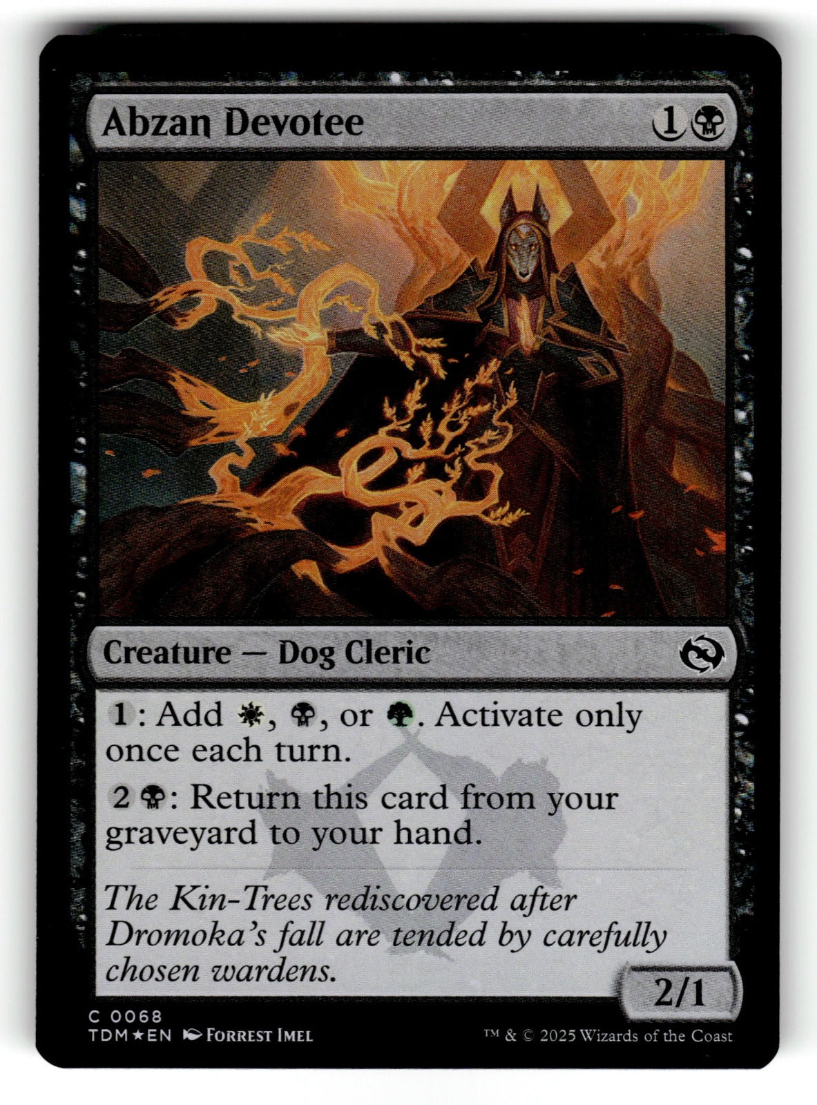 Abzan Devotee – 68 TDM: Tarkir: Dragonstorm C Foil NM