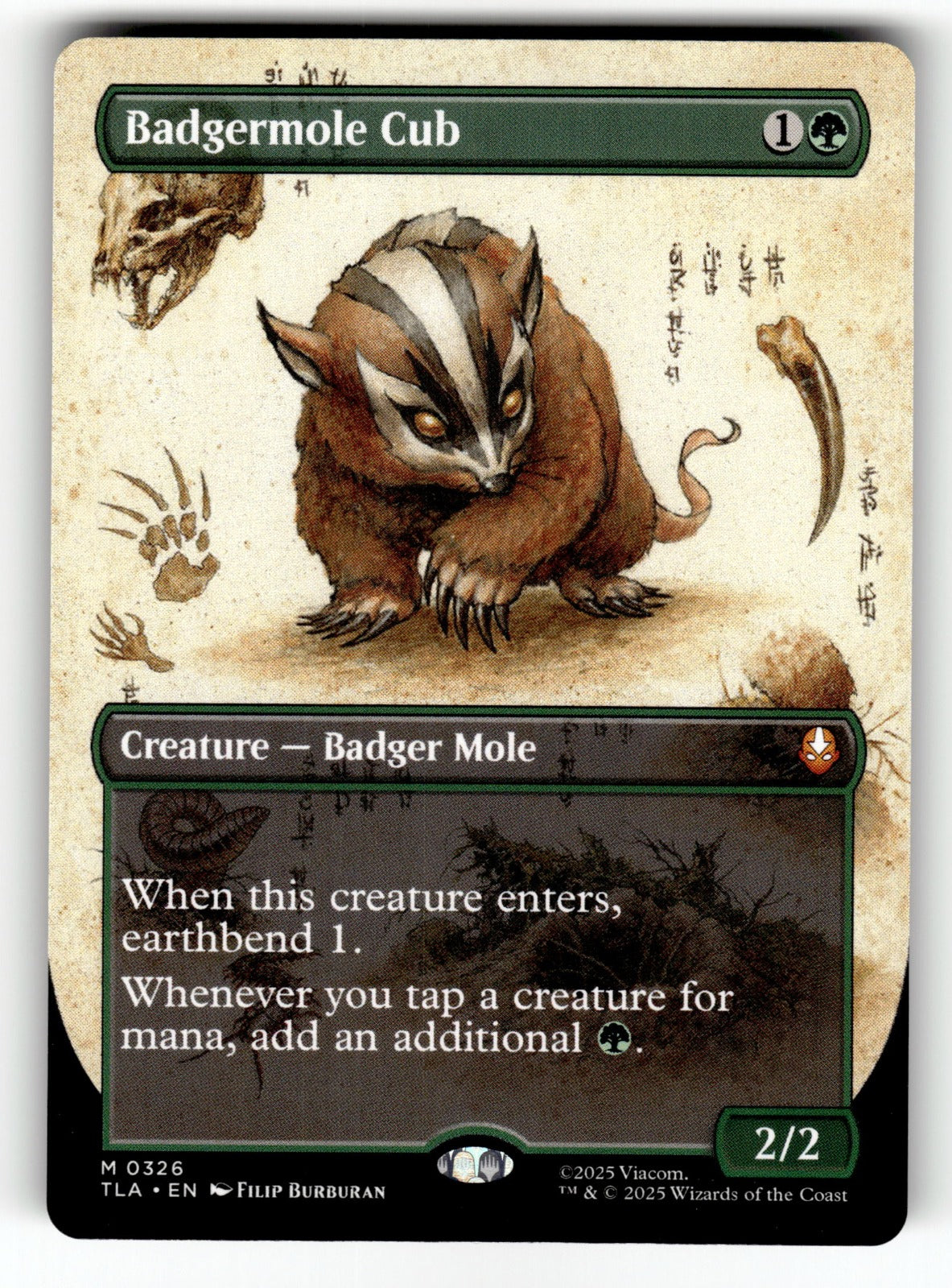Badgermole Cub (Borderless) – 326 TLA: Avatar: The Last Airbender M NM